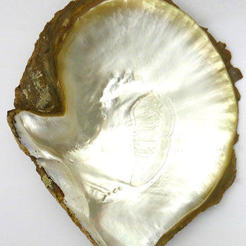Aldrich Art Jewelry